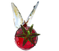 Glassware Swarovski IDYLLIA in Crystal 5666846 - 5666846